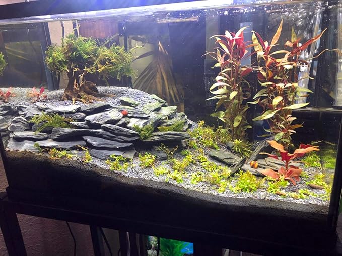 Voulosimi Natural Slate Rocks PH Neutral Stone Perfect Rocks for Aquariums, Landscaping Model,Tank Decoration,Amphibian Enclosures (7.5 LB, 5-7 inch)