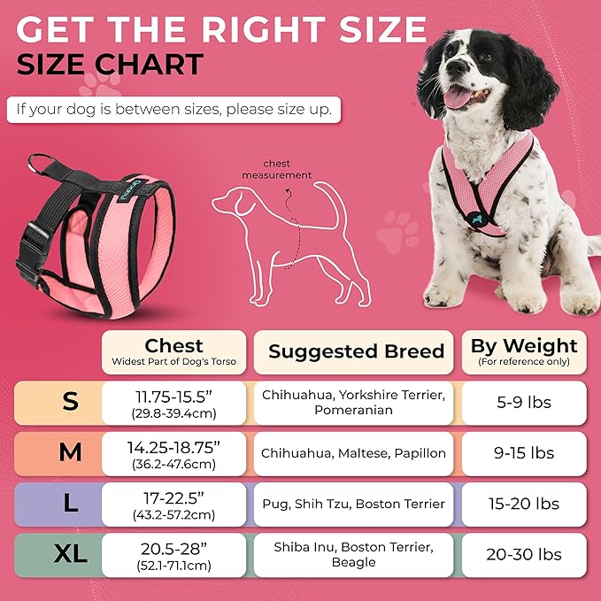 Gooby Comfort X Head-in Harness – Small Dog Harness for Toy Breeds (5–9 lbs), Pink, Small