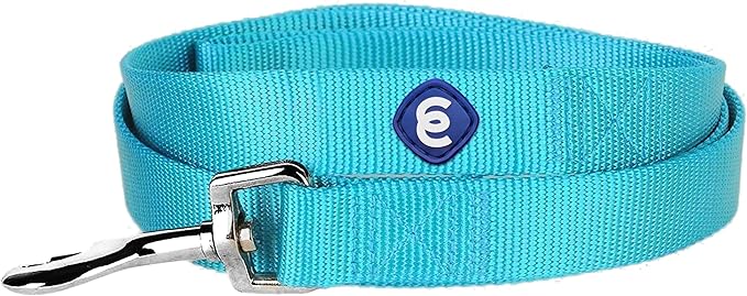 Blueberry Pet Essentials Turquoise Dog Leash for Small -5' * 5/8" Dogs | Heavy Duty Nylon Lead | Lightweight Puppy & Cat Leash for Walking & Training