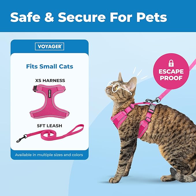 Voyager Escape Proof Cat Harness and Leash Set with Reflective Stitching, Neoprene Handle 5ft - Supports Small, Medium and Large Cats, Kittens for Walking by Best Pet Supplies - Fuchsia, XS