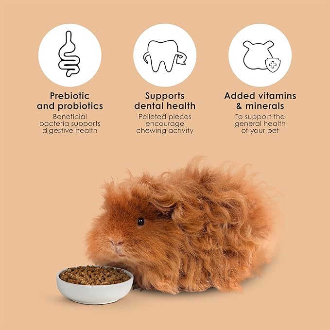 Kaytee Timothy Complete Guinea Pig Food Timothy Hay 25 Pounds