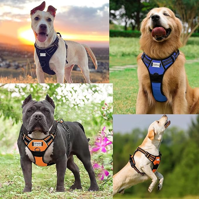 Personalized Custom No Pull Dog Harness Leash Set with Name Phone Number-Heavy Duty Reflective Soft Padded Dog Vest Harness with Easy Control Handle for Small Medium Large Dog-2 Leash Attachments