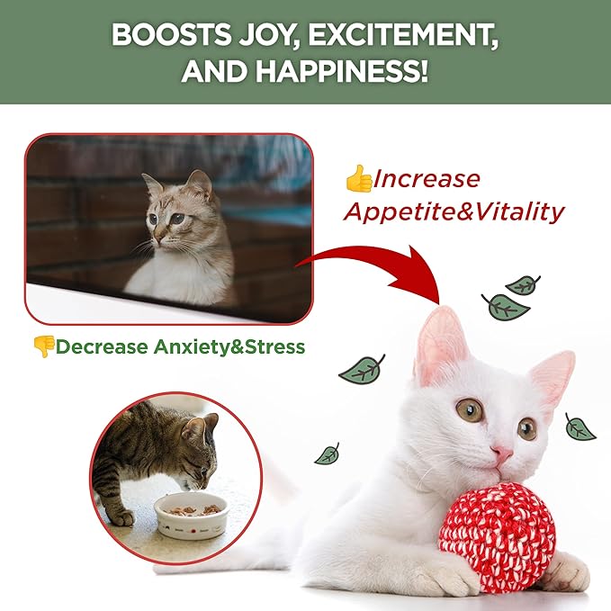 JAYU PET Active Catnip Spray - High Potency Transparent Liquid Spray made of Fresh Organic Catnip for Indoor Cats and Kittens, Relieves Stress, Calming, Revives Toys (1fl oz) (Catnip Spray, 1fl oz)