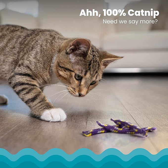 Catstages Nighttime Catnip Rolls Cat Toys - 3 Pack