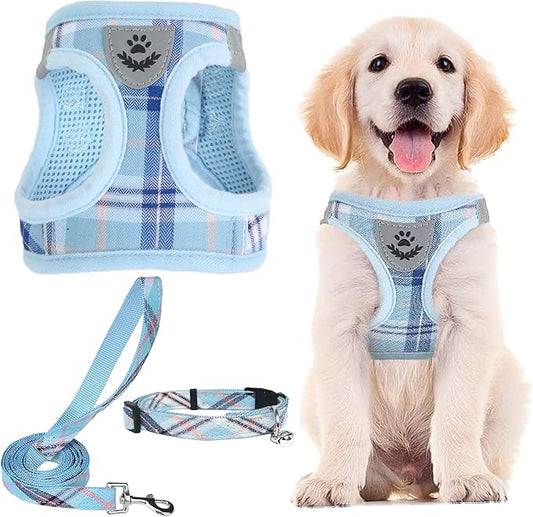 PUPTECK Adjustable Dog Harness Collar and Leash Set Step in No Pull Pet Harness for Small Medium Dogs Puppy and Cats Outdoor Walking Running, Soft Mesh Padded Reflective Vest Harnesses, Blue XS