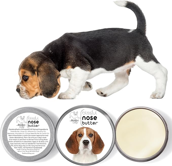 The Blissful Dog Beagle Nose Butter for Dry, Cracked Skin, Lick-Safe Dog Nose Balm with Moisturizing Shea Butter, Almond, Olive, and Essential Oils, Pet Supplies, Uncented, 4 oz.