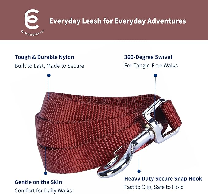 Blueberry Pet Essentials Fired Brick Dog Leash for Large - 4' * 1" Dogs | Heavy Duty Nylon Lead | Lightweight Puppy & Cat Leash for Walking & Training