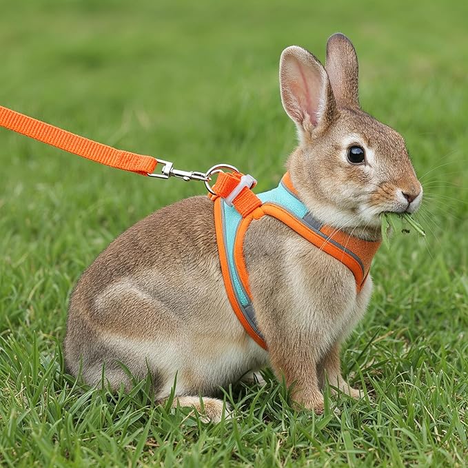 Bunny Harness and Leash Set, Adjustable Double Buckles Breathable Mesh Rabbit Vest with Reflective Strips, Escape Proof Small Pet Walking Training Gear for Rabbits, Kittens, Ferrets, Guinea Pigs (M)