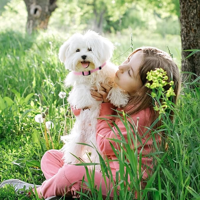 Pink Dog Collar for Medium Size Dog, Breathable, Anti-Odor & Soft, Comfortable for Sensitive Skin Puppies, 90% Bamboo Rayon, Adjustable Quick-Release Buckle Pet Collar for Medium Breeds