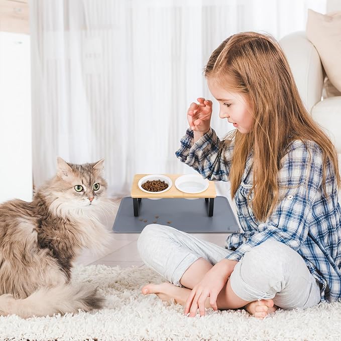 Elevated Whisker Friendly Cat Bowls, 15 Tilted Stand Anti Vomiting Raised Dishes for Food and Water, Ceramic Bowls for Cats and Puppy,Bamboo