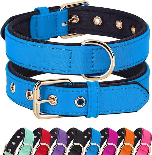 Didog Soft Padded Dog Collars for Medium Dogs, Lightweight and Breathable Dog Collar with Metal Buckle, Blue, L