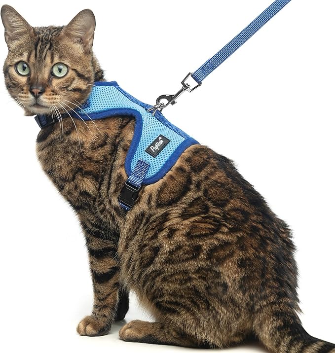 PUPTECK Cat Harness and Leash Set Escape Proof, Reflective Adjustable Soft Mesh Kitten Vest Harness for Walking Travel, Blue, S