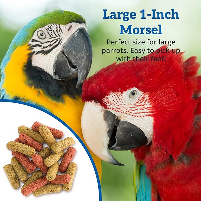 Scenic Mix Jungle Premium Parrot Food - Apple, Natural Flavors, High Protein, Low Iron Bird Pellets for Large Parrots, Macaw Food, Cockatoo & African Grey Parrots, Omega 3, Vitamins, 2lb (Pack of 2)