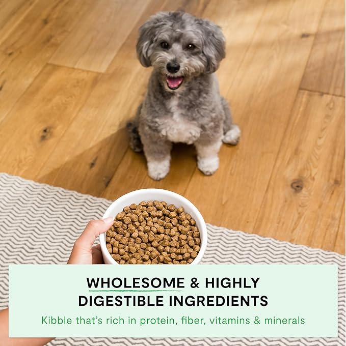 Open Farm, Ancient Grains Dry Dog Food for Small Breeds, Protein-Rich & Nutrient Dense, 90% Animal Protein with Non-GMO Fruits, Veggies and Superfoods, Chicken & Turkey Recipe for Small Dogs, 4lb Bag