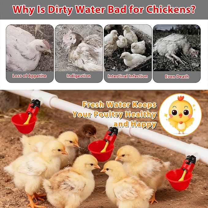 Chicken Waterer Cups, Pack of 6 Chicken Waterer PVC Tee Fittings, with 1/8 Inch FTP Threads, Automatic Chicken Water Cups for Chicken Ducks Quail