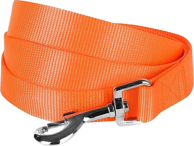 Blueberry Pet Essentials Florence Orange Dog Leash for Large - 4' * 1" Dogs | Heavy Duty Nylon Lead | Lightweight Puppy & Cat Leash for Walking & Training