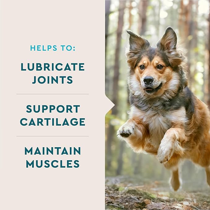 VetIQ Glucosamine Hip & Joint Supplement for Dogs, 60 Soft Chews, Joint Support Supplement with MSM and Krill, Dog Health Supplies Large & Small Breed, Chicken Flavored Chewables