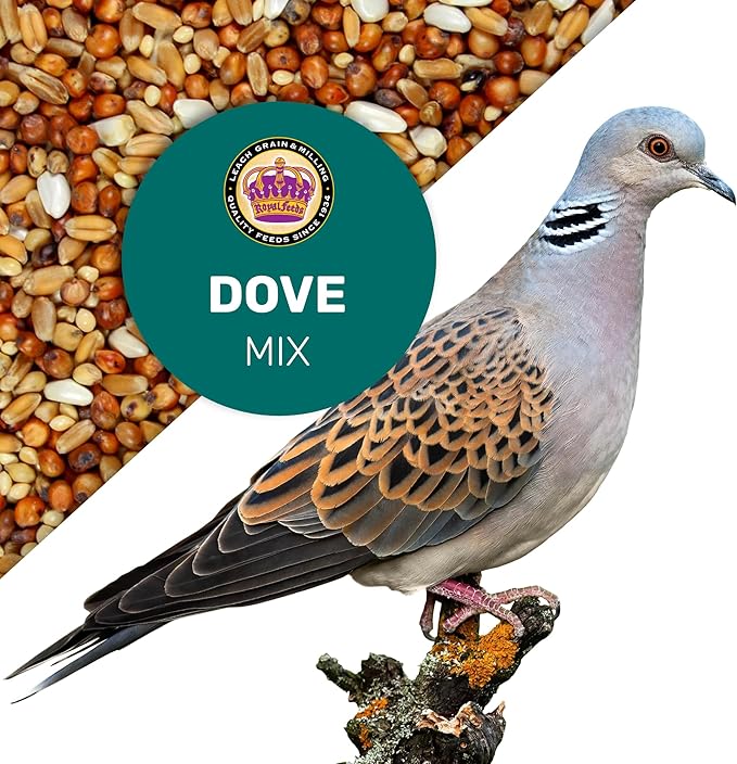 Dove Mix 5 Lbs, Dove Food, Premium Dove Bird Seed, Nut Free Mix Feed for Dove, Nutrient-Rich Mixed Birdseeds, Supports Daily Energy Growth & Healthy Balanced Diet, Bird Seed for Outside Feeders