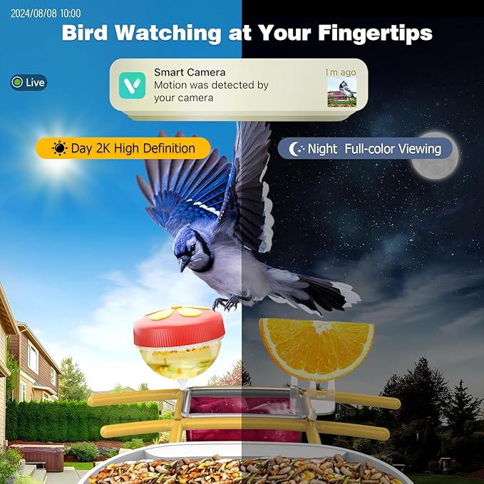 Bird Feeder with Camera: Solar Powered Smart Bird Camera Feeder 2K Live Feed for Backyard - AI Identify Auto Capture Videos, Gifts for Birdlovers Mom Dad, 2.4GHz WiFi