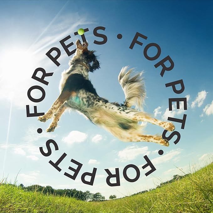 Bark2Basics Strawberries & Creme Greek Yogurt Protein Rich Dog Shampoo, 1 Gallon - All Natural Ingredients, Feeds Protein To Follicles, Restores Moisture, Repairs and Nourishes