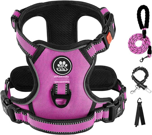 IVY&LANE No Pull Dog Harness for Large Dogs, Dog Vest Harness with Leash, Safety Belt and Storage Strap, Fully Adjustable Harness, 360° Reflective Strip, Soft Handle (Fuchsia Pink, XL)