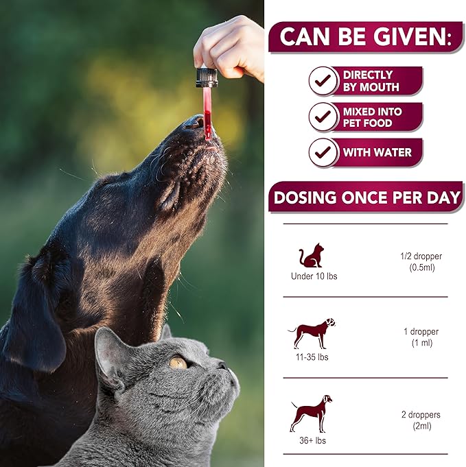 Cat & Dog UTI Treatment - Urinary Tract Infection Treatments with Cranberry - Dog & Cat UTI Medicine - Advanced Kidney & Bladder Support Multivitamin - Renal Health Supplement Vitamins - Made in USA