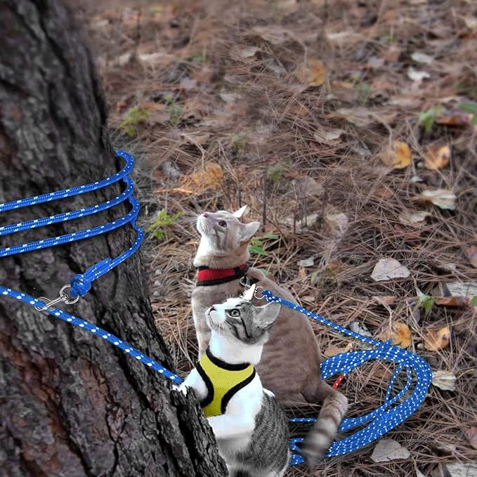 Rypet Reflective Cat Long Leash 15 FT Escape Proof Walking Leads Yard Long Leashes Durable Safe Personalized Extender Leashs Traning Play Outdoor for Kitten, Puppy, Rabbit and Small Animals