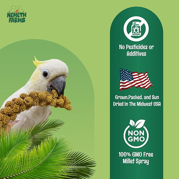Nemeth Farms Worlds Freshest GMO-Free, Sun Dried Spray Millet No Stems Only Edible - Tops-Original Bird Treat and Supplement for Pet Birds Parakeets, Cockatiels, Lovebirds and Finches - 5lbs