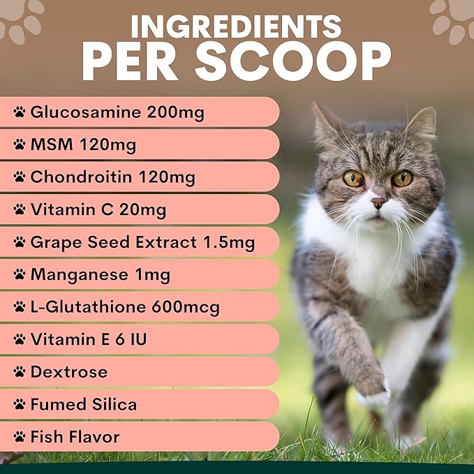 Hip and Joint Supplement for Cats - Glucosamine, Chondroitin, MSM for Joint Hip Care, Arthritis Pain Relief, Mobility Support, Cartilage Health, Inflammation Reduction - Senior Cat Support, 60 Scoops