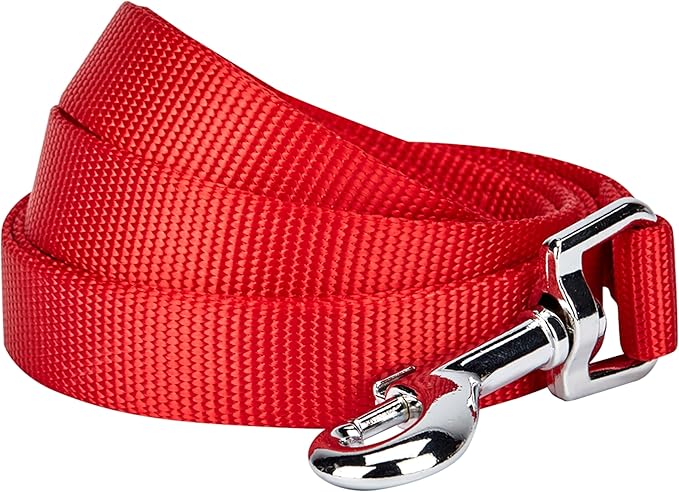 Blueberry Pet Essentials Rouge Red Dog Leash for X-Small -5' * 3/8" Dogs | Heavy Duty Nylon Lead | Lightweight Puppy & Cat Leash for Walking & Training