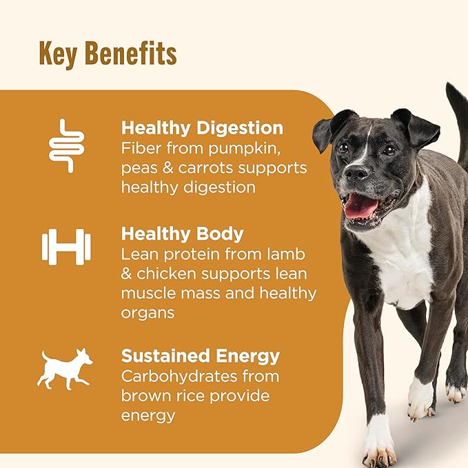 Nutrish Gentle Digestion Real Lamb, Pumpkin & Chicken Recipe Chunks in Gravy Wet Dog Food, 13 oz. Can, 12 Count (Rachael Ray)