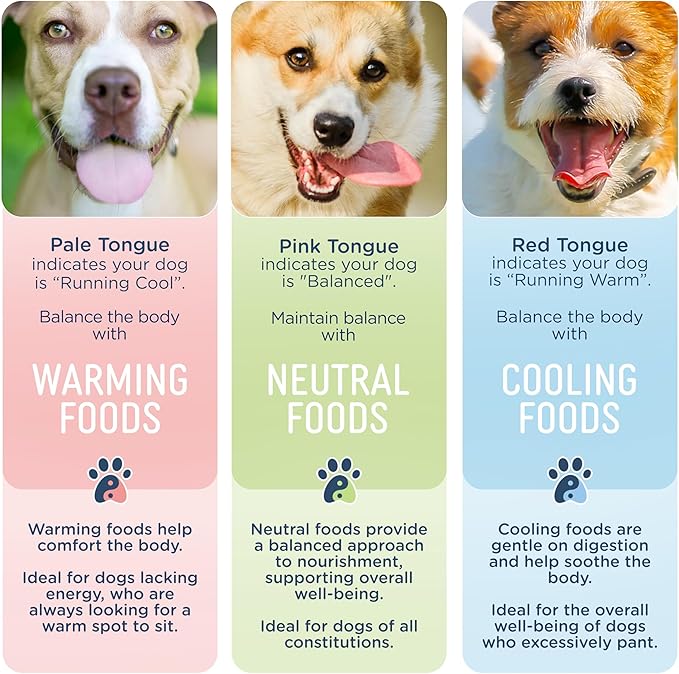 Side by Side Pork & Rabbit | Beef & Salmon Stew - Wet Dog Food & Dog Food Topper for All Breeds - Made with Nutrients & Whole Raw Ingredients - No Artificial Additives or Fillers (12.5 oz, 4-Pack)