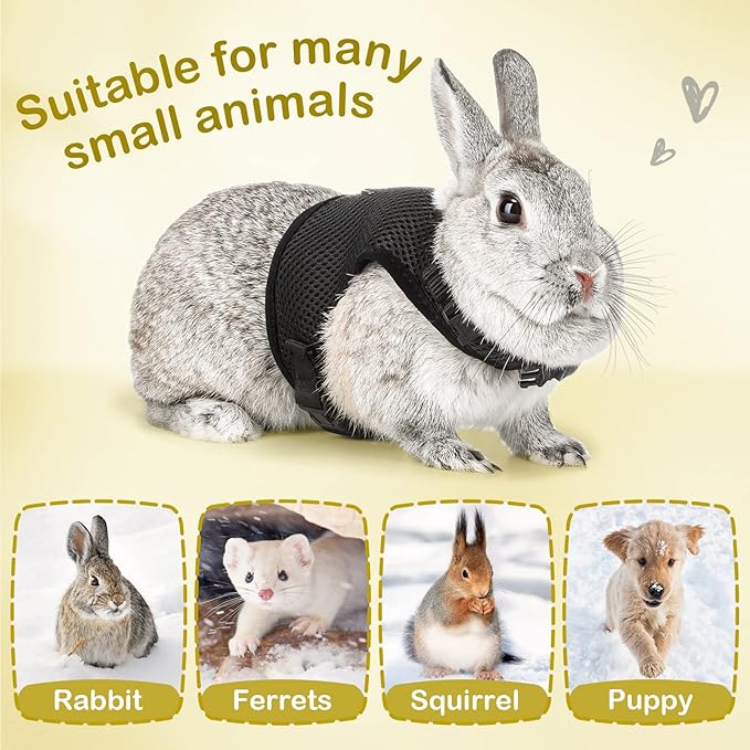 PETTOM Bunny Rabbit Harness with Stretchy Leash Cute Adjustable Buckle Breathable Mesh Vest for Kitten Small Pets Walking (Black,XL)
