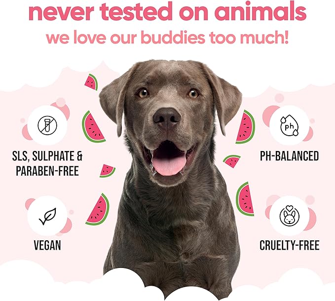 Watermelon Dog Shampoo by Buddycare | Dry Skin & Itchy Skin Relief for Smelly Dogs | Deep Cleansing Shampoo for Dogs Puppy Sensitive Skin | Dog Shampoo & Conditioner | with Aloe & Vitamin B5 (16.90oz)