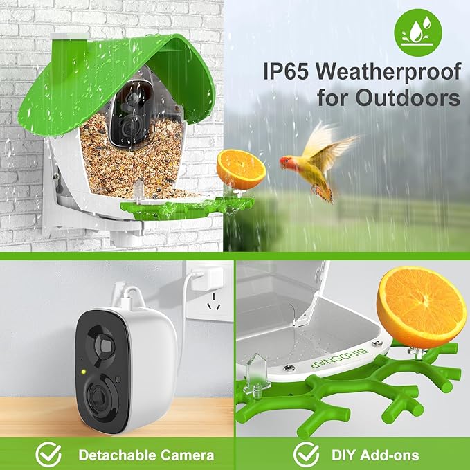 birdsnap® MON - Bird Feeder with Camera, 2K Detachable Video Bird Feeder Live with 32GB Card Fruit Fork, AI Identify Feather Species, Auto Record in Backyard, Ideal Gift for Birds Lover