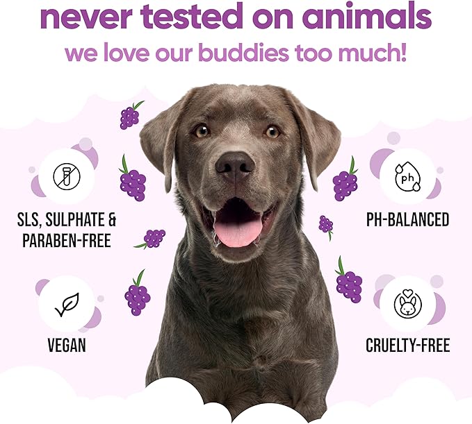 Grape Scented Puppy Shampoo by Buddycare | For Smelly Dogs from 8 Weeks | Aloe Vera & Pro Vitamin B5 (16.90oz)