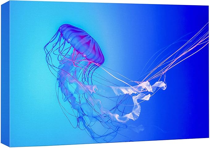 wall26 Canvas Print Wall Art Vibrant Neon Blue Pink Jellyfish Deep Sea Nature Animals Photography Realism Rustic Scenic Landscape Wilderness Earth Colorful for Living Room, Bedroom, Office - 12"x18"
