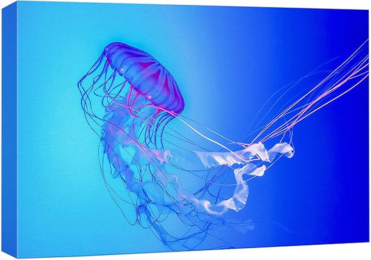 wall26 Canvas Print Wall Art Vibrant Neon Blue Pink Jellyfish Deep Sea Nature Animals Photography Realism Rustic Scenic Landscape Wilderness Earth Colorful for Living Room, Bedroom, Office - 24"x36"