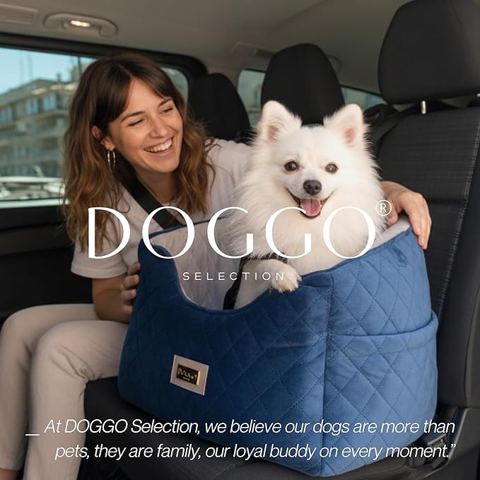 Premium 2-in-1 Dog Car Seat & Home Bed for Small Dogs – Premium Travel Pet Bed with Safety Straps, Stylish Design, Soft Plush Cushion & Secure Portable Comfort – Under 30lbs (Blue)