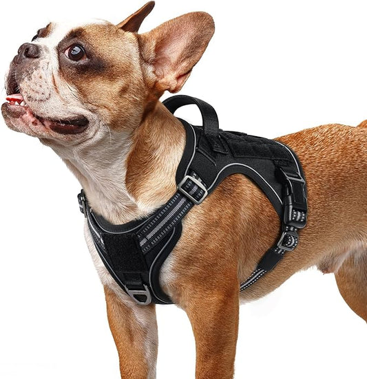 rabbitgoo Dog Harness Small Sized No Pull, Tactical Service Pet Vest with Molle and Control Handle, Adjustable and Reflective Military Harness for Easy Walking and Training, Black, S