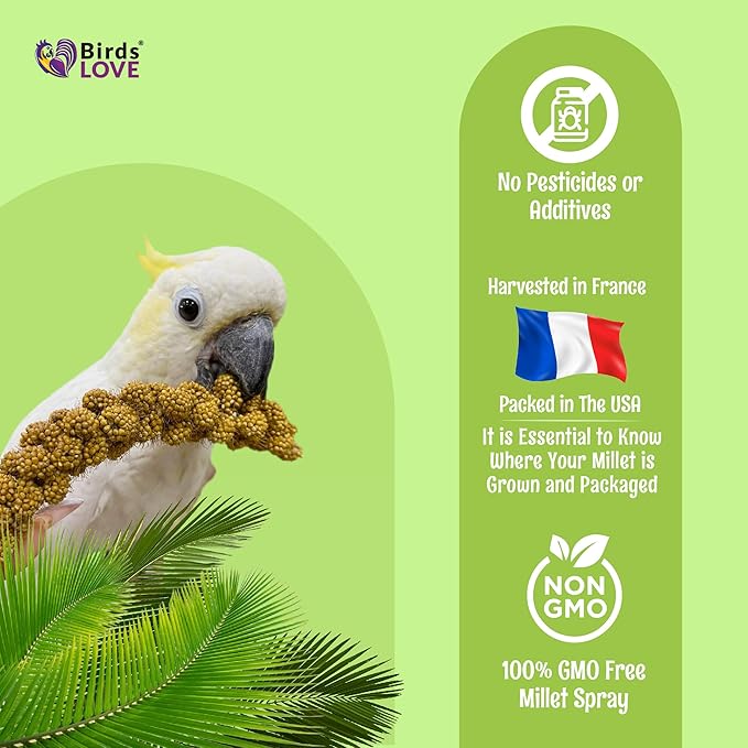 Birds LOVE French Kissed Spray Millet for Birds - Parakeets, Cockatiels, Lovebirds, Finches, Budgies, Canaries, Cockatoos - Natural & Healthy Bird Millet - Parakeet Food & Treats for all Parrots 25lbs