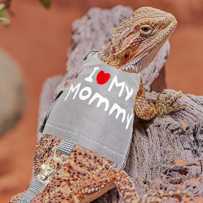 Bearded Dragon Adjustable Clothes Harness with Leash,Bearded Dragon Harness Leash Set for Lizards,Chameleon, Traction Rope Walking Leash Reptile Halloween Costume Accessories