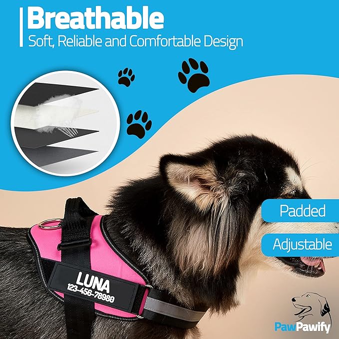 PawPawify Custom No Pull Dog Harness with Name and Phone Number, Heavy Duty Personalized Pet Vest to Prevent Tugging, Pulling, or Choking, Training and Walking (Pink, M (Chest 20-24in))