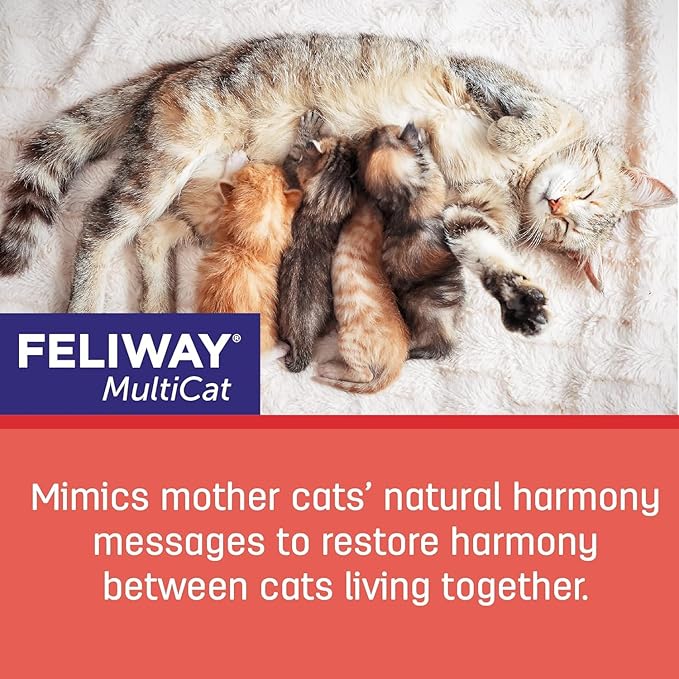 FELIWAY MultiCat Calming Pheromone Diffuser: 1 Diffuser & 2 Refills (60 Days)