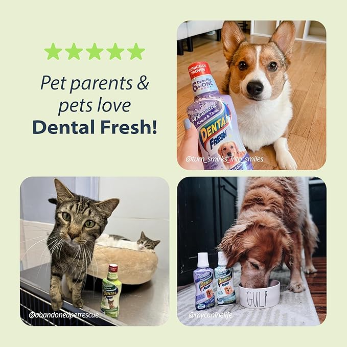 Dental Fresh Water Additive for Cats, Original Formula, 8 oz – Cat Breath Freshener – Products for Cats to Help Overall Cat Dental Health