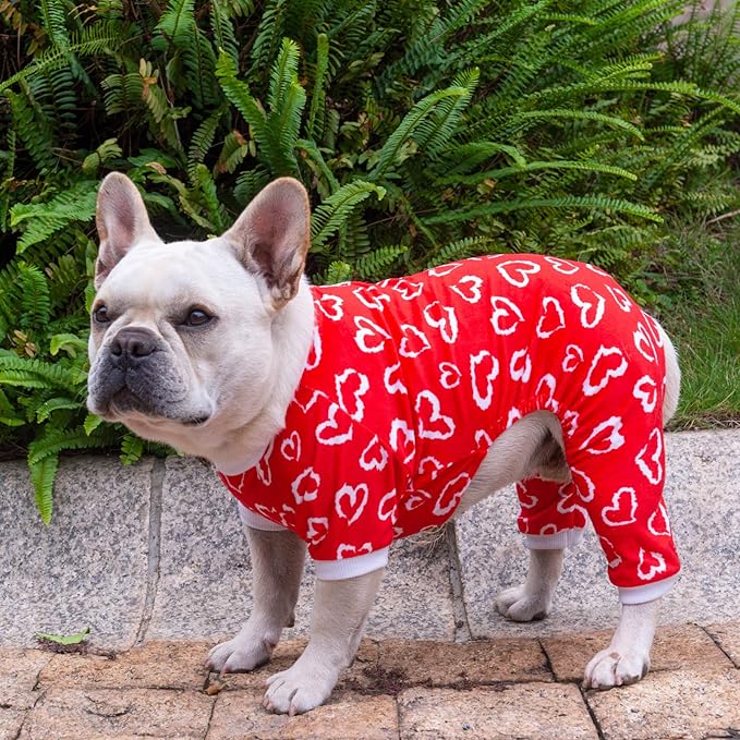 CuteBone Small Dogs Valentines Outfit Soft Puppy Onesies Pjs Dog Pajamas Pet Coat Cat Apparel Comfy Doggie Jumpsuit Bodysuit for All Seasons P202L