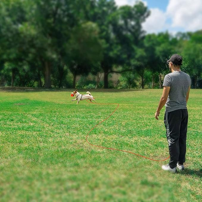 Rypet Reflective Cat Long Leash - 15 FT Escape Proof Walking Leads Yard Long Leash Durable Safe Personalized Extender Leashes Traning Play Outdoor for Kitten, Puppy, Rabbit and Small Animals