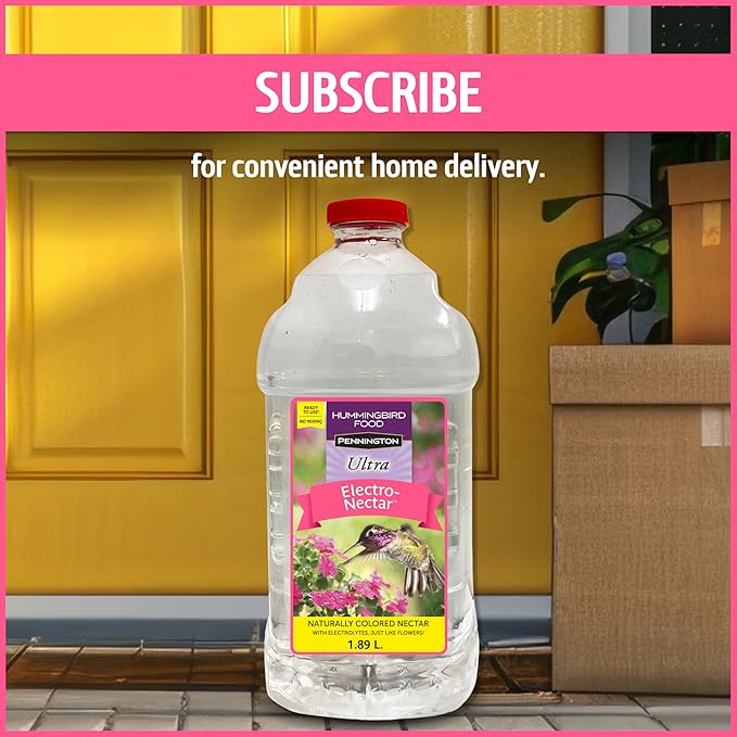 Pennington 100543828 ElectroNectar Hummingbird Food Ready to Use, Clear