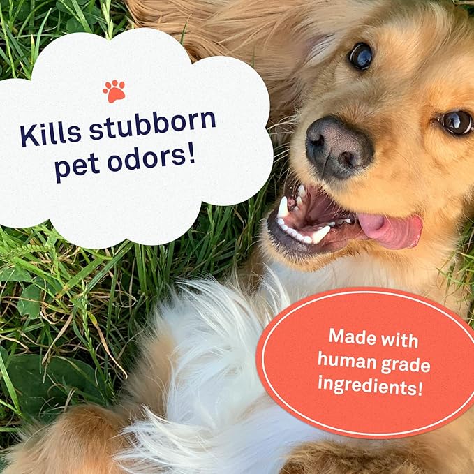 Petpost | Skunk Odor Eliminator Shampoo for Dogs & Cats. Neutralizes Strong Odors. Gentle & Safe Formula. 16 oz