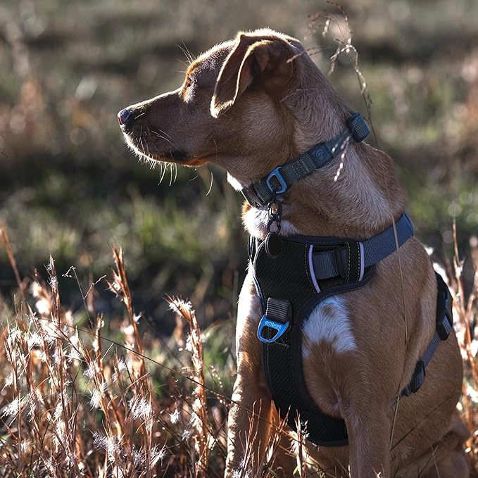 Embark Adventure Dog Harness, Reflective Trim No Pull Dog Harnesses for Small Sized Dogs - Military Grade Nylon, Front Clip with Gel Lined Handle. Soft & Padded Puppy Harnesses.